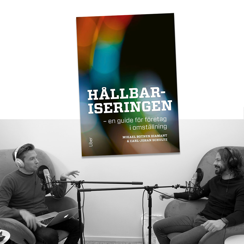 246 – Hållbariseringen, en guide för företag i omställning